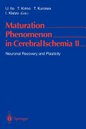 Maturation Phenomenon in Cerebral Ischemia II: Neuronal Recovery and Plasticity