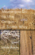Meaning to Go to the Origin in Some Way