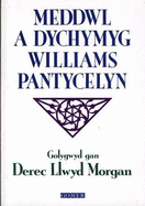 Meddwl a Dychymyg Williams Pantycelyn