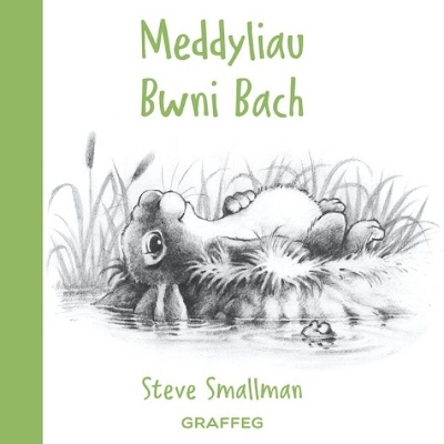 Meddyliau Bwni Bach - Smallman, Steve, and Pierce, Anwen (Translated by)