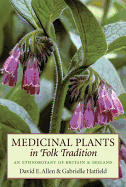 Medicinal Plants in Folk Tradition: An Ethnobotany of Britain & Ireland