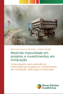 Medindo maturidade em projetos e investimentos em minerao