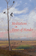 Meditations in Times of Wonder