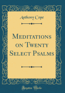 Meditations on Twenty Select Psalms (Classic Reprint)