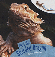Meet the Bearded Dragon