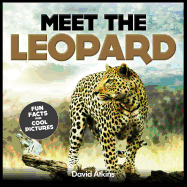 Meet the Leopard: Fun Facts & Cool Pictures