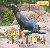 Meet the Sea Lion