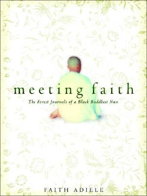 Meeting Faith: The Forest Journals of a Black Buddhist Nun - Adiele, Faith