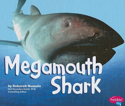 Megamouth Shark - Nuzzolo, Deborah