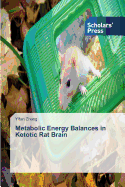 Metabolic Energy Balances in Ketotic Rat Brain