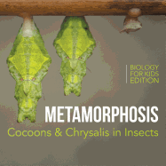 Metamorphosis: Cocoons & Chrysalis in Insects Biology for Kids Edition