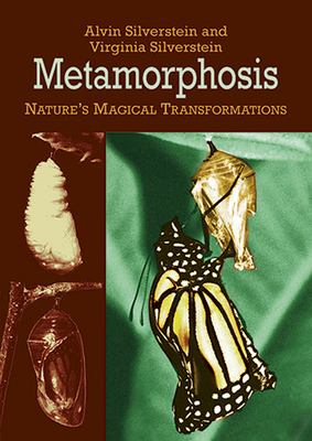 Metamorphosis: Nature's Magical Transformations - Silverstein, Alvin, Dr., and Silverstein, Virginia
