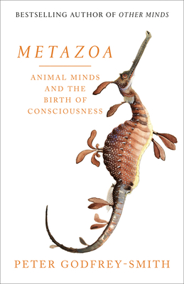 Metazoa: Animal Minds and the Birth of Consciousness - Godfrey-Smith, Peter