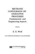 Methane Conversion by Oxidative Processes - Wolf, Eduardo E