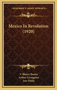 Mexico in Revolution (1920)