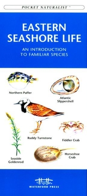 Michigan Birds: A Folding Pocket Guide to Familiar Species - Kavanagh, James, and Waterford Press