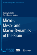 Micro-, Meso- And Macro-Dynamics of the Brain