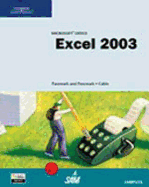 Microsoft Office Excel 2003: Complete Tutorial