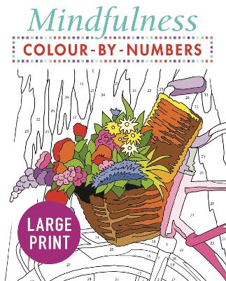 Mindfulness Colour-by-Numbers Large Print - Arcturus Publishing Limited