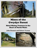 Mines of the Gwydyr Forest: Metal Mining Ventures in the Heart of North Wales