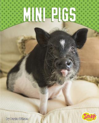 Mini Pigs - 