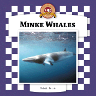 Minke Whales