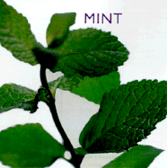 Mint - Southwater