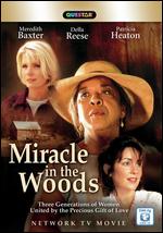 Miracle in the Woods - Arthur A. Seidelman