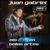 Mis 40 en Bellas Artes: En Vivo Desde Bellas Artes, Mxico 2013, Vol. 1 - Juan Gabriel