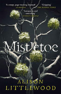 Mistletoe: 'The perfect read for frosty nights' HEAT - Littlewood, Alison