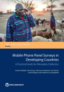 Mobile Phone Panel Surveys in Developing Countries: A Practical Guide for Microdata Collection