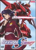 Mobile Suit Gundam Seed, Vol. 6: Destiny