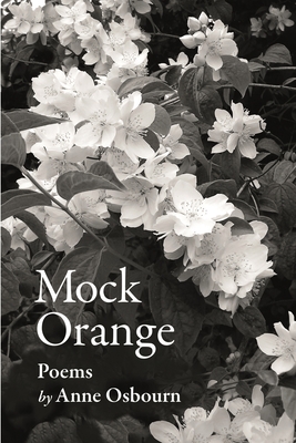 Mock Orange - Osbourn, Anne
