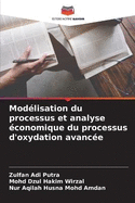Modlisation du processus et analyse conomique du processus d'oxydation avance
