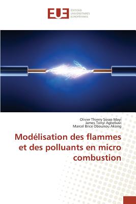 Mod?lisation Des Flammes Et Des Polluants En Micro Combustion - Sans Auteur