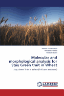 Molecular and Morphological Analysis for Stay Green Trait in Wheat