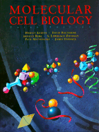 Molecular Cell Biology - Lodish, Harvey, and Darnell, James, and Baltimore, David