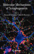 Molecular Mechanisms of Synaptogenesis