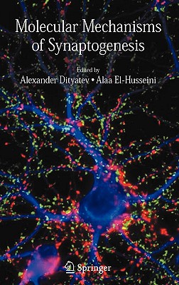 Molecular Mechanisms of Synaptogenesis - Dityatev, Alexander (Editor), and El-Husseini, Alaa (Editor)