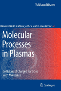 Molecular Processes in Plasmas: Collisions of Charged Particles with Molecules