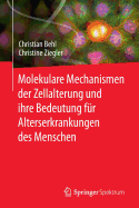 Molekulare Mechanismen Der Zellalterung Und Ihre Bedeutung Fr Alterserkrankungen Des Menschen