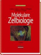 Molekulare Zellbiologie - Lodish, Harvey, and Berk, Arnold, and Zipursky, S Lawrence