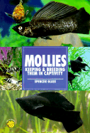 Mollies: Keeping & Breeding Them in Captivity