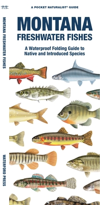 Montana Freshwater Fishes: A Waterproof Folding Guide to Native and Introduced Species - Morris, Matthew, and Waterford Press, and Leung, Raymond (Illustrator)