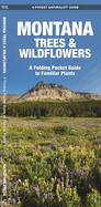 Montana Trees & Wildflowers: An Introduction to Familiar Species