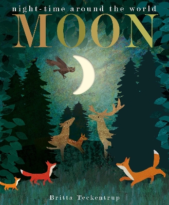 Moon: night-time around the world - Hegarty, Patricia, and Teckentrup, Britta