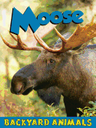 Moose