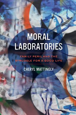 Moral Laboratories: Family Peril and the Struggle for a Good Life - Mattingly, Cheryl, PhD