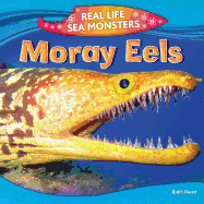 Moray Eels - Owen, Ruth