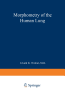 Morphometry of the human lung.